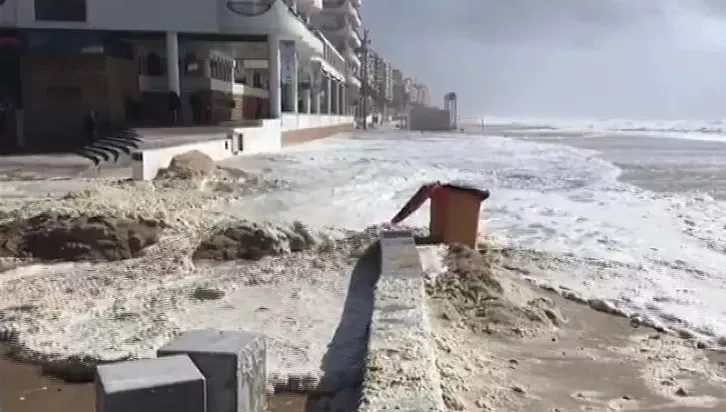 Alumnos de la Universidad de Sevilla asisten en Cádiz a una jornada sobre el riesgo de tsunamis en las costas andaluzas.