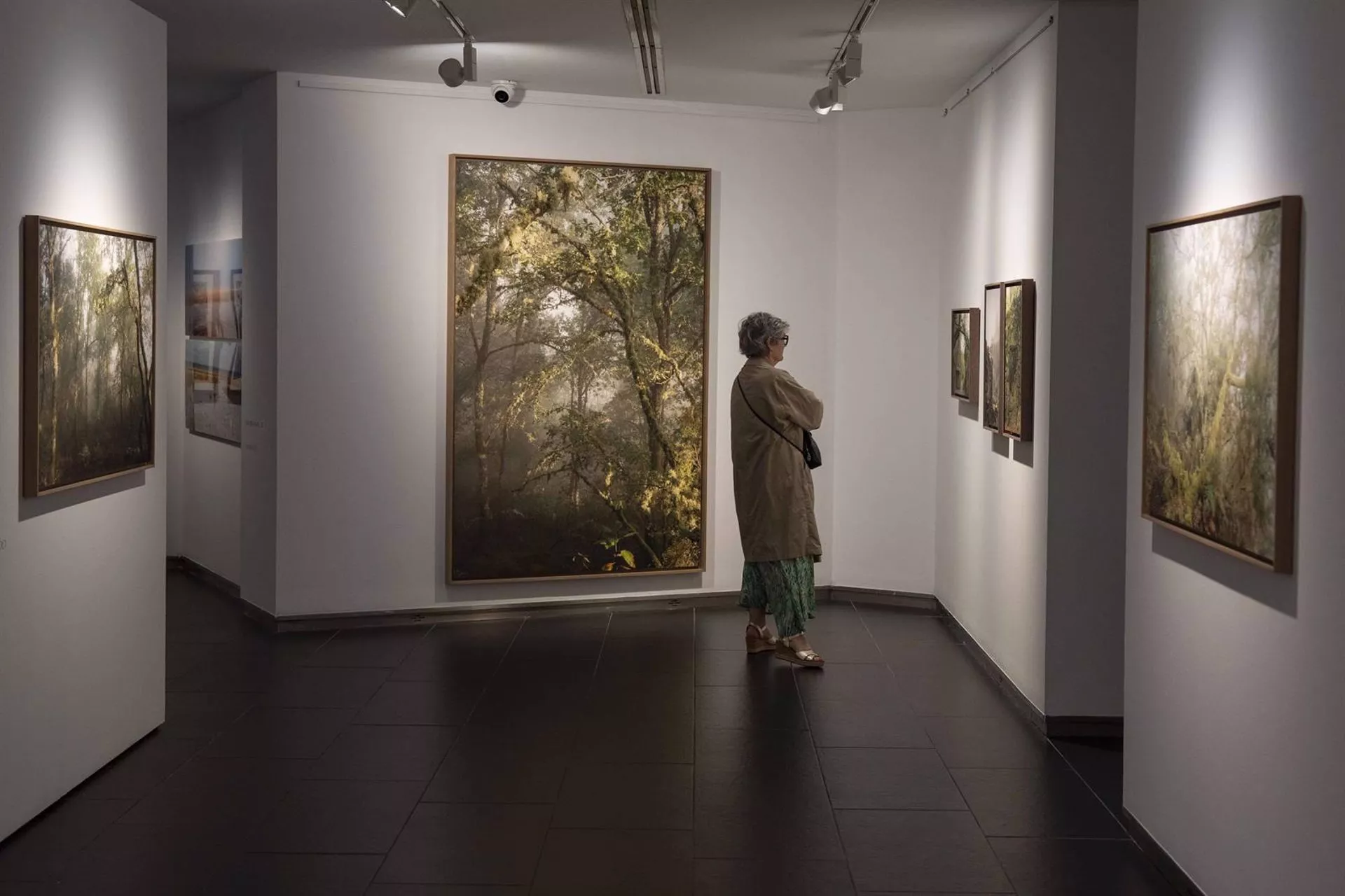 Una visitante observa uno de los cuadros que presenta una gran variedad de visiones del paisaje