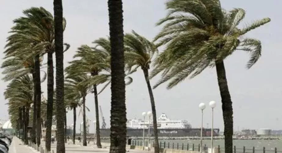 El viento de Levante estará presente en Cádiz hasta Año Nuevo.