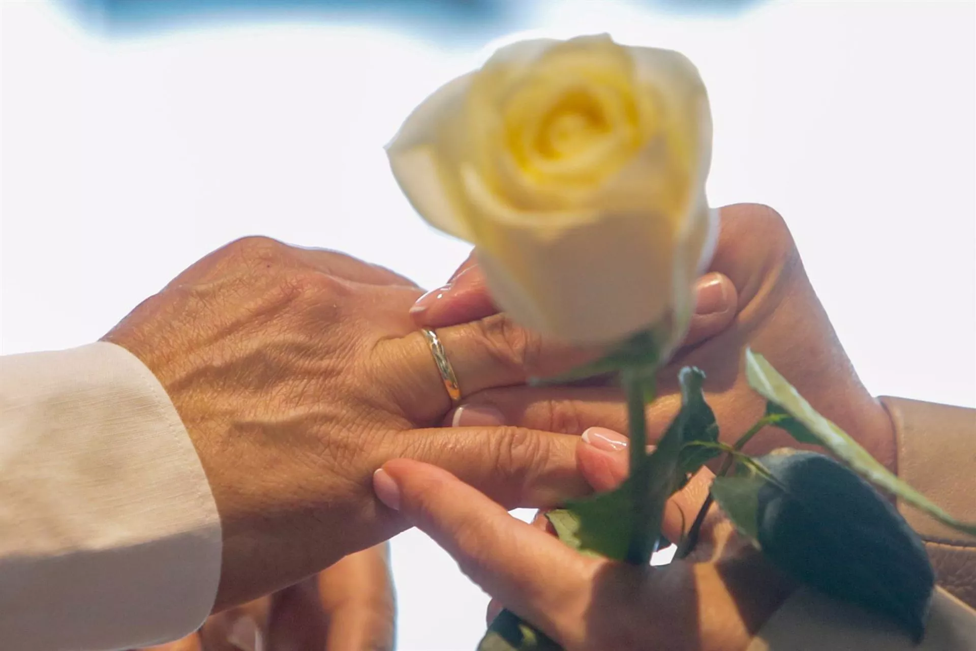 Una pareja se coloca las alianzas en la celebración de su boda. 