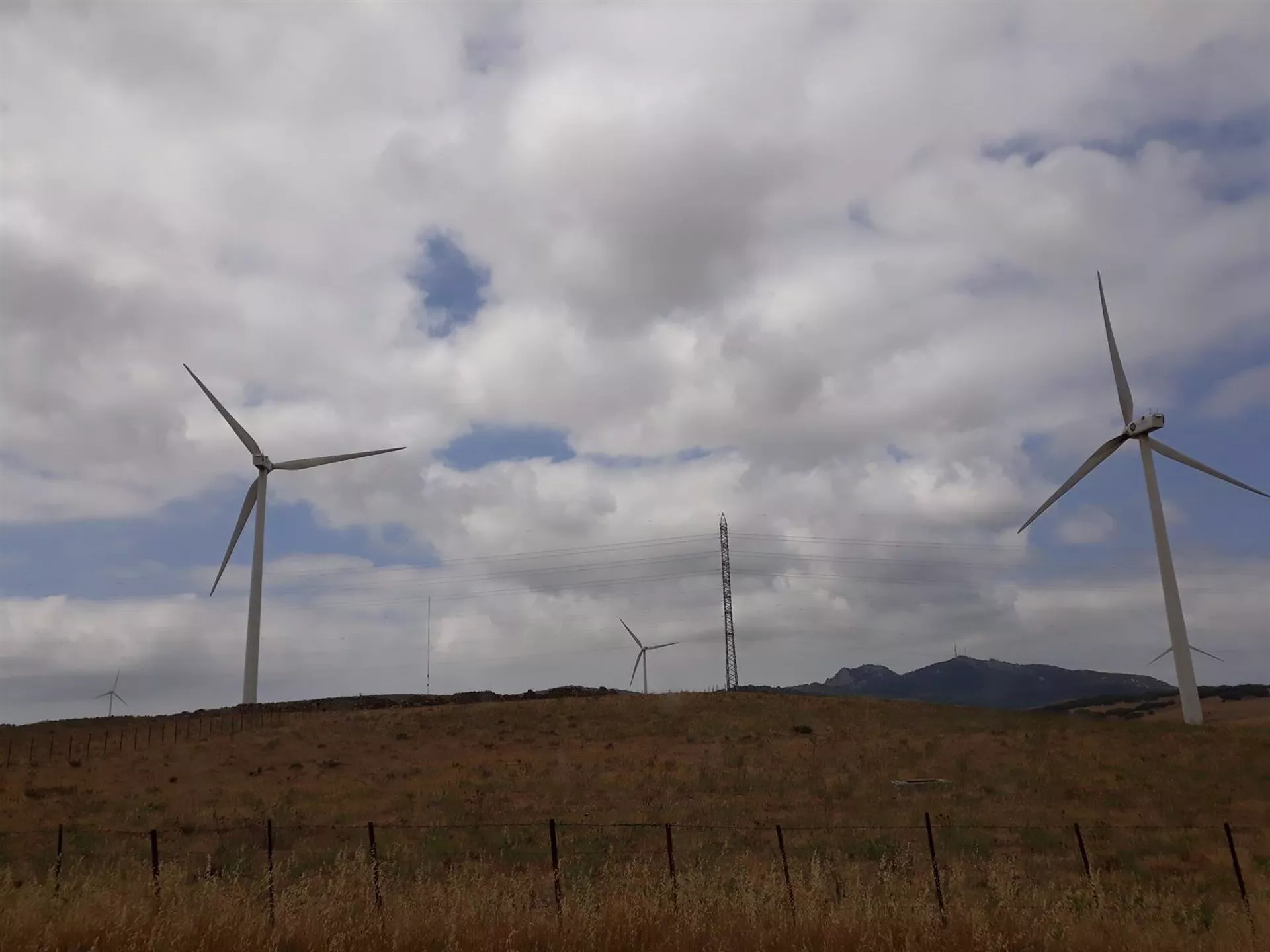 Molinos de viento en la N-340, en Tarifa