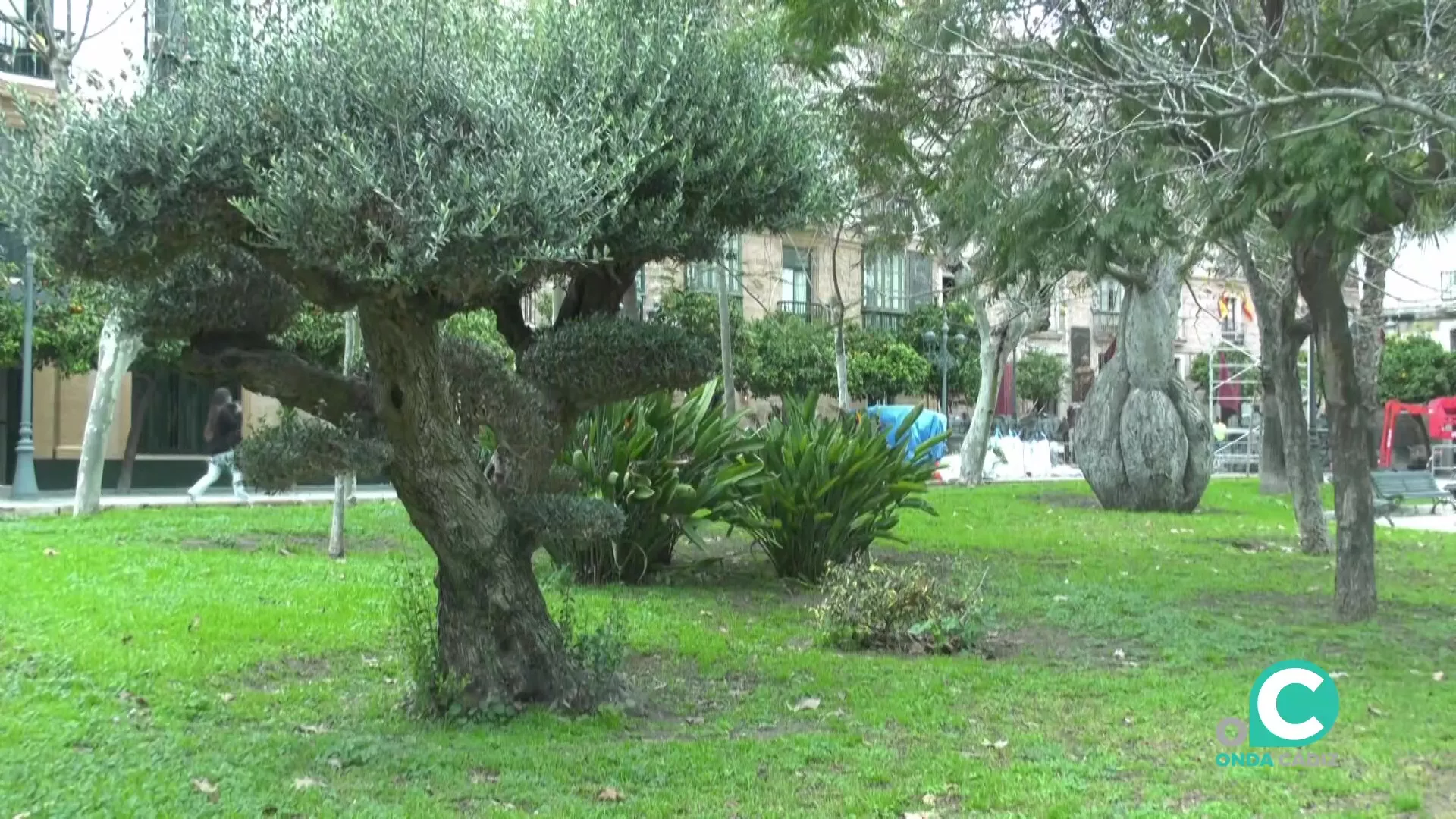 Imágen de la zona ajardinada de la plaza de España