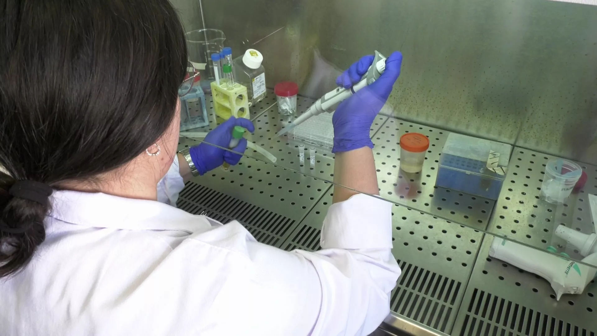 Una investigadora durante su trabajo en un laboratorio Una investigadora durante su trabajo en un laboratorio