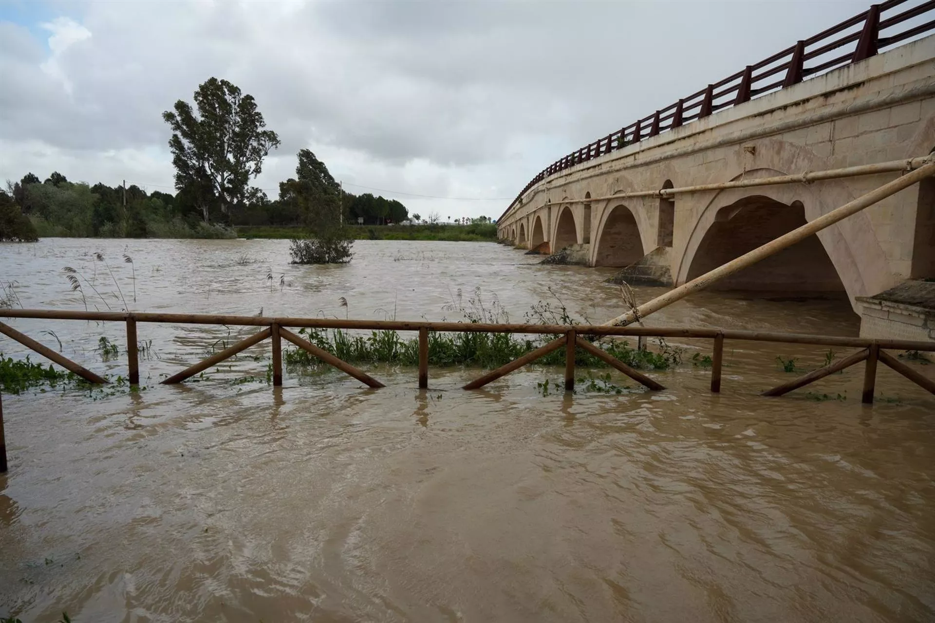 El rio crecido a su paso por el puente  de acceso a Jerez de la Frontera