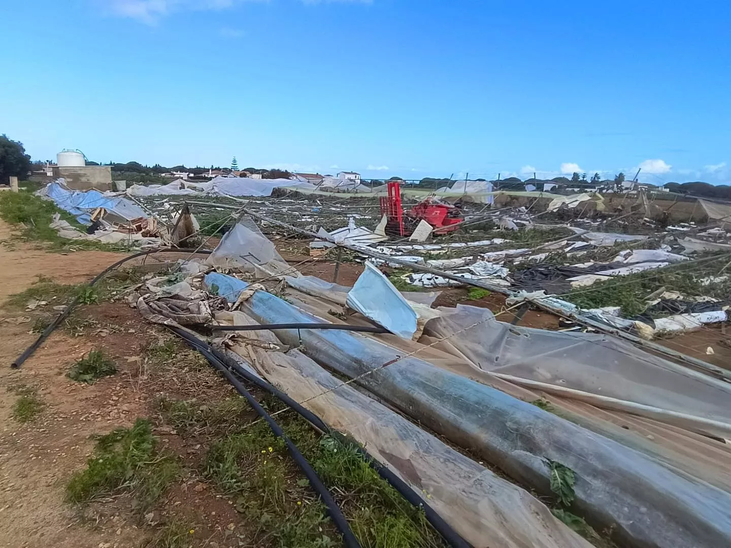 Estado de los campos conileños tras el paso del temporal