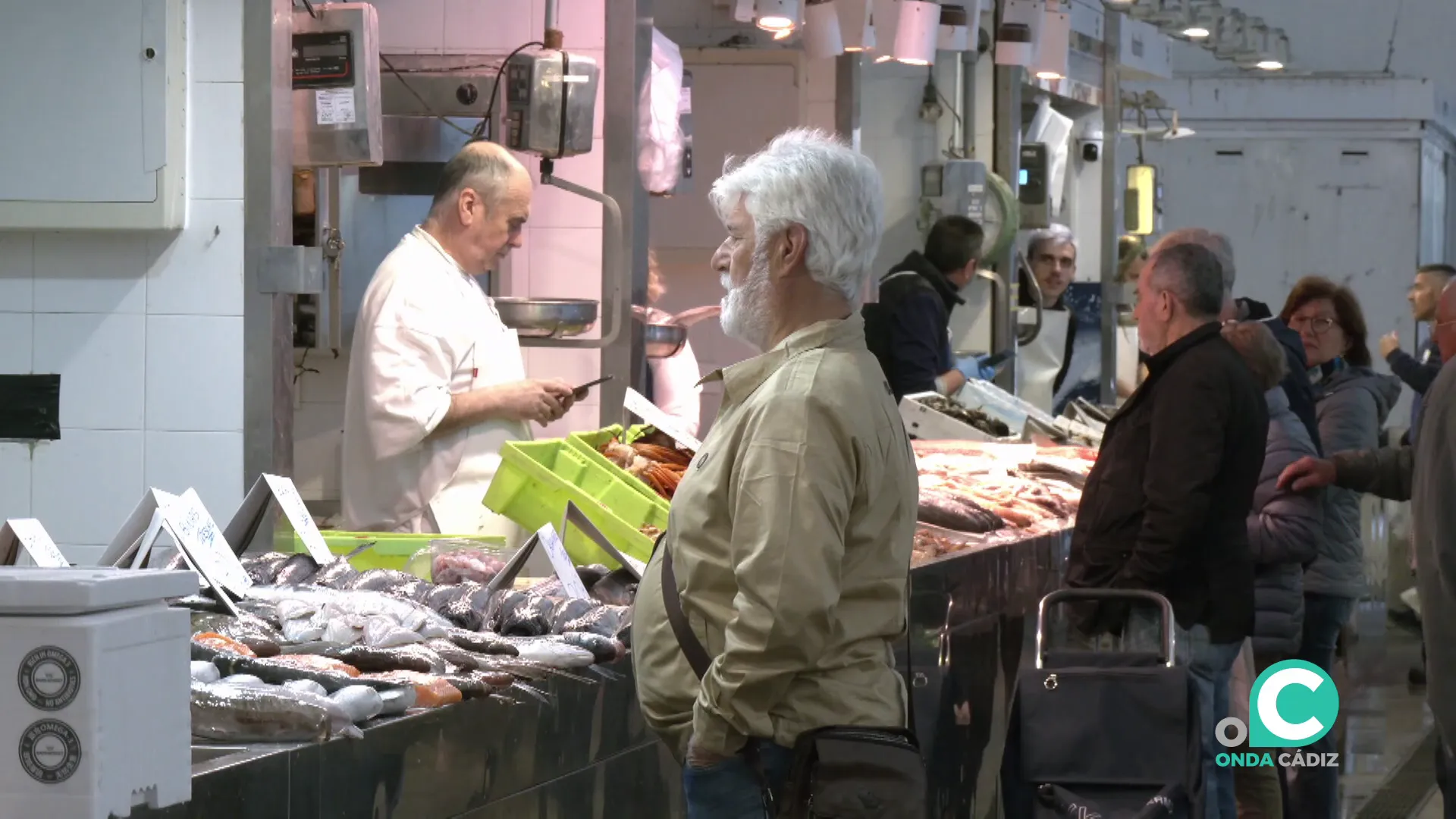 Clientes junto a los distintos puestos de pescadería en el mercado central este martes Clientes junto a los distintos puestos de pescadería en el mercado central este martes