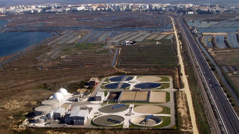 Edacafesa estudia abrir un espacio de bienestar animal en los terrenos de la depuradora El Ayuntamiento de Cádiz y el de San Fernando están estudiando la viabilidad de este proyecto tras la reactivación del organismo supramunicipal