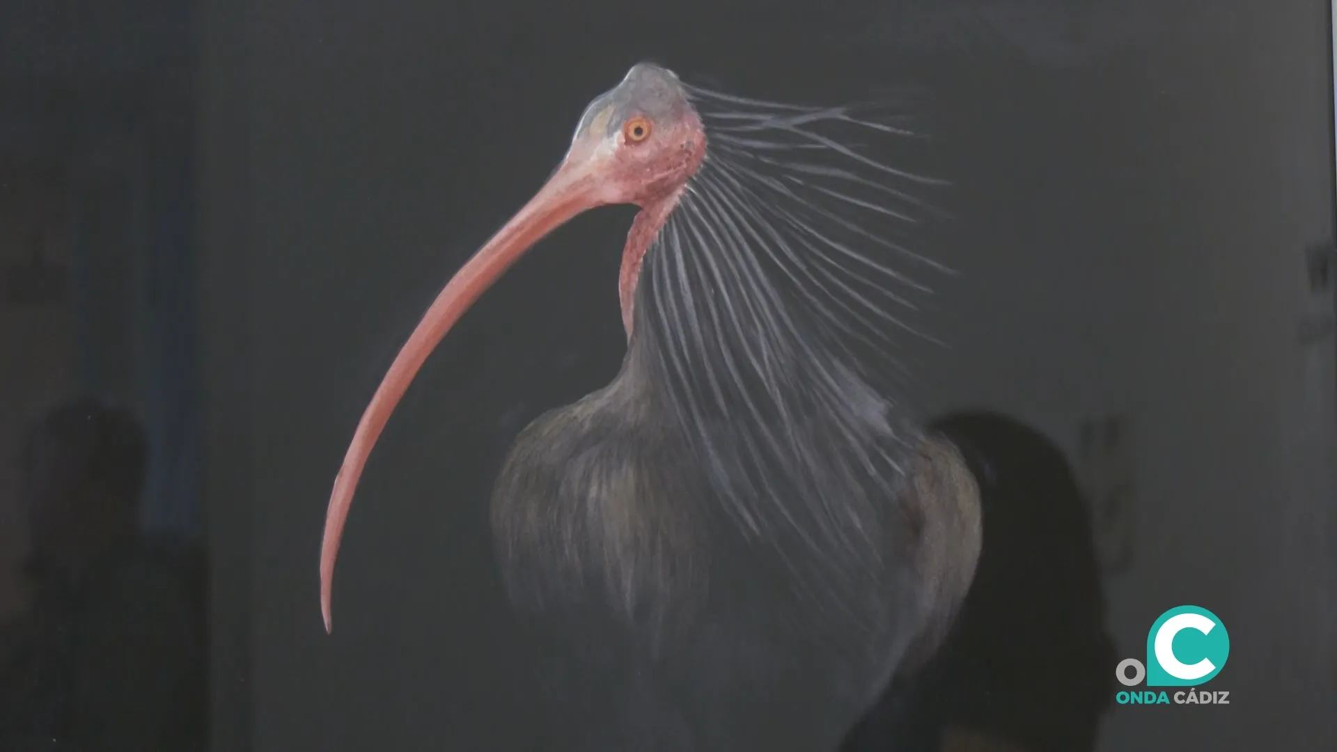 La obra de Pedro Fernández-Pujol, 'BeShow', explora el límite entre lo animal y lo humano. La obra de Pedro Fernández-Pujol, 'BeShow', explora el límite entre lo animal y lo humano.