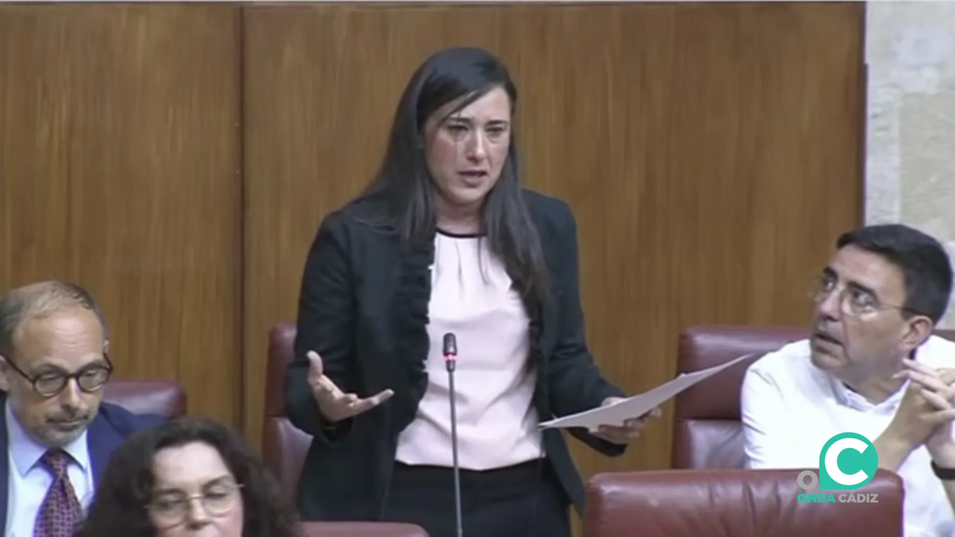 Rocio Arrabal durante su intervención en el Parlamento de Andalucía Rocio Arrabal durante su intervención en el Parlamento de Andalucía