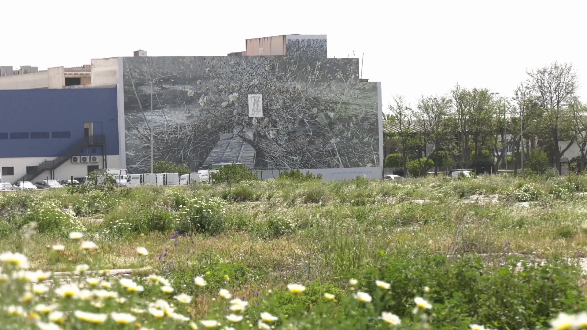 Solar donde se construirá el nuevo hospital de Cádiz. Solar donde se construirá el nuevo hospital de Cádiz.