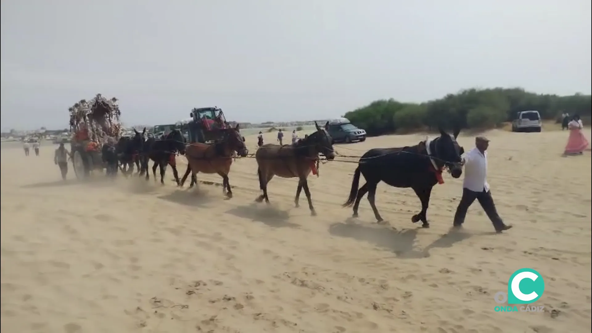 La carreta del Simpecado una vez desembarcado este martes La carreta del Simpecado una vez desembarcado este martes