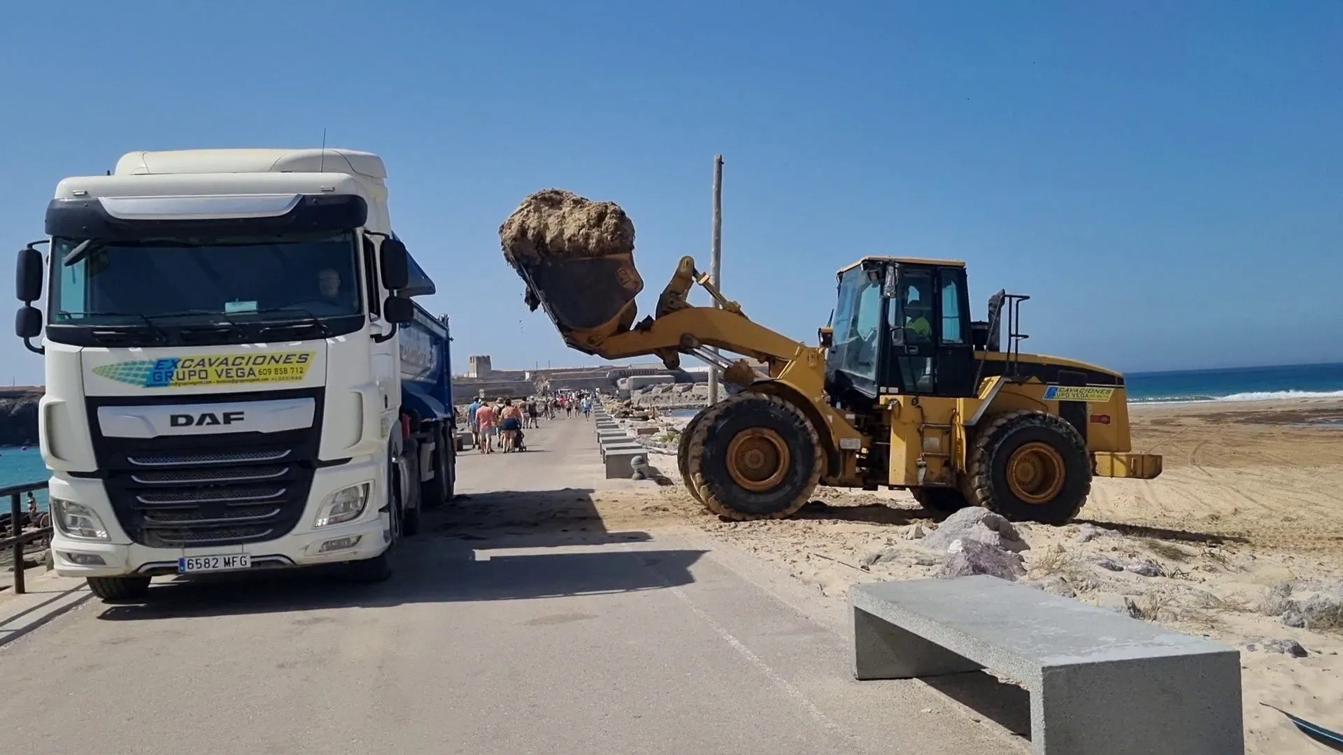 Maquinaria pesada recogiendo algas invasoras de una playa de Tarifa Maquinaria pesada recogiendo algas invasoras de una playa de Tarifa