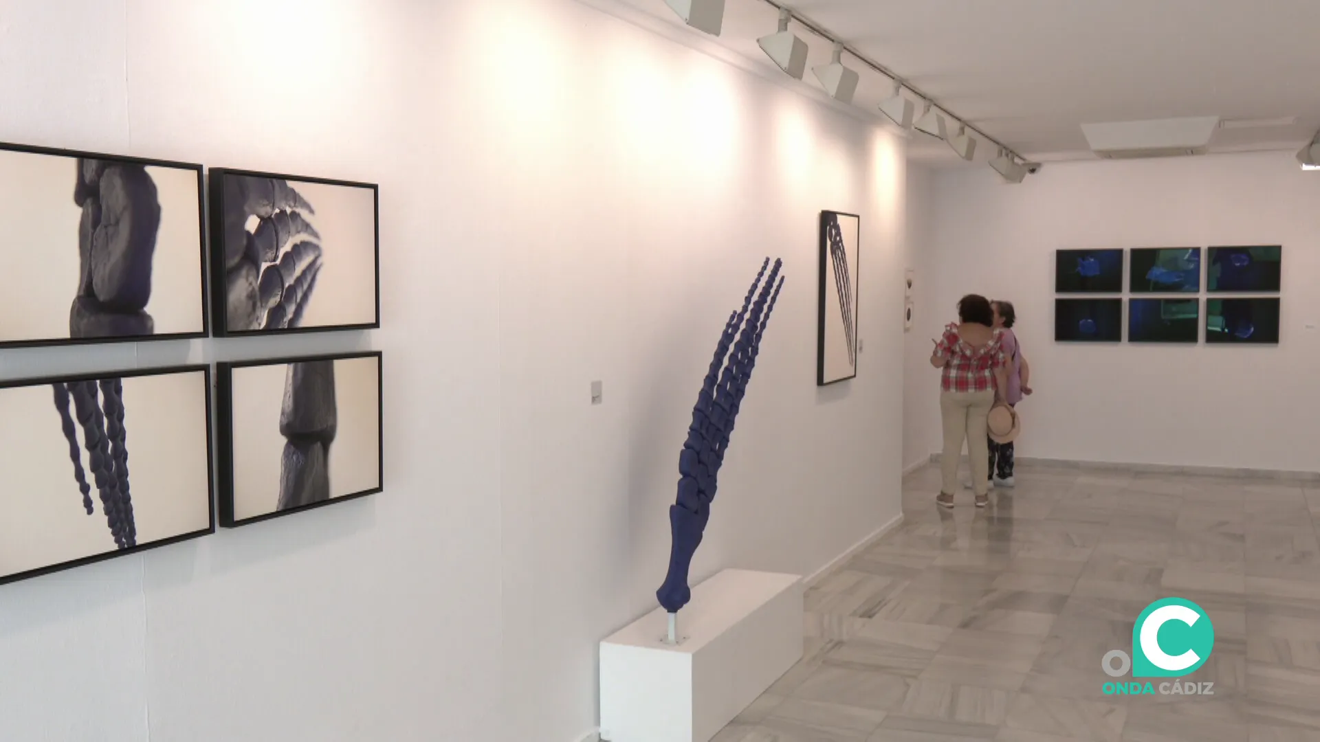 La muestra podrá visitarse hasta el 16 de agosto La muestra podrá visitarse hasta el 16 de agosto