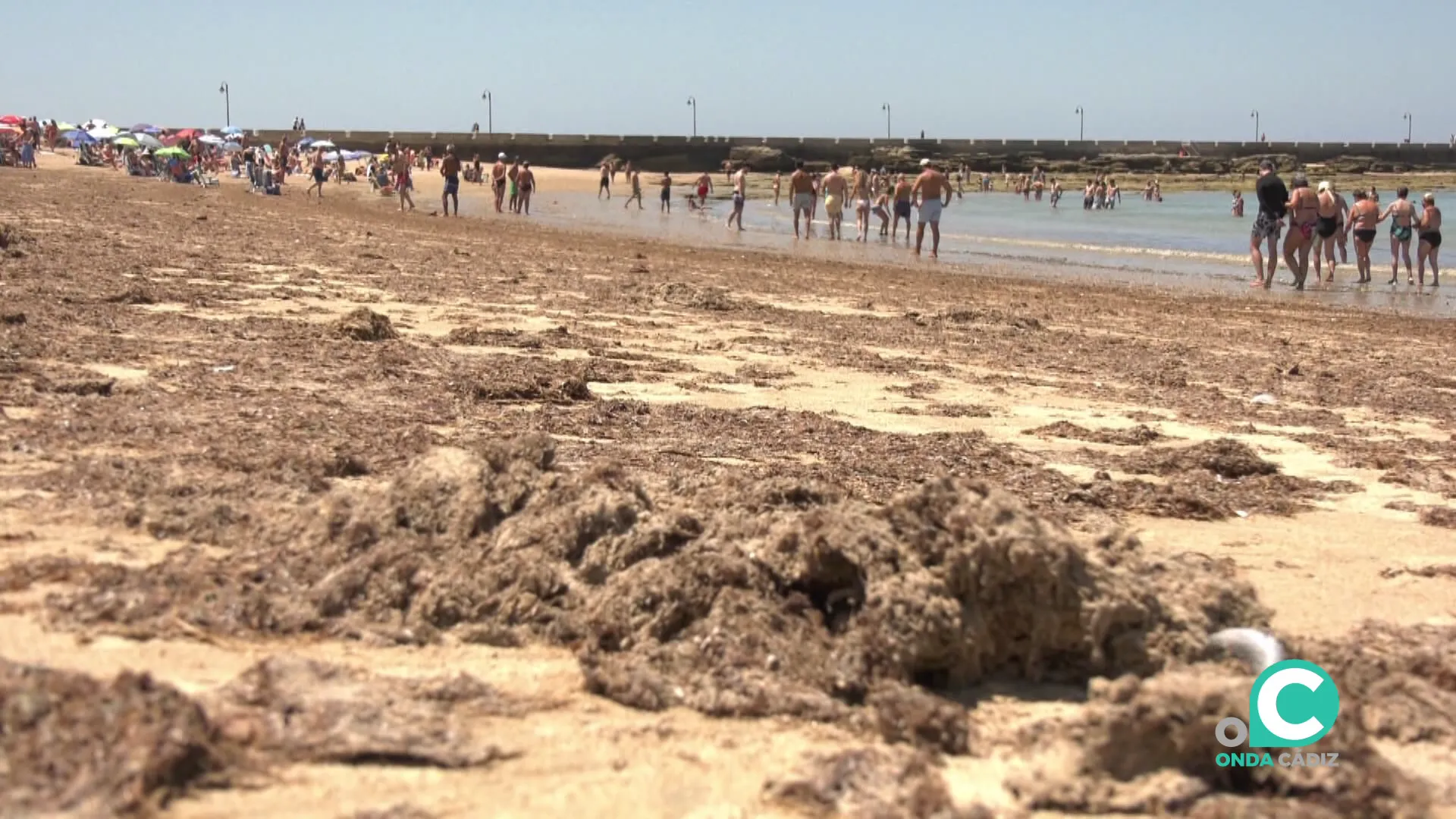 Estado de la conocida playa gaditana en una imagen de arhivo Estado de la conocida playa gaditana en una imagen de arhivo