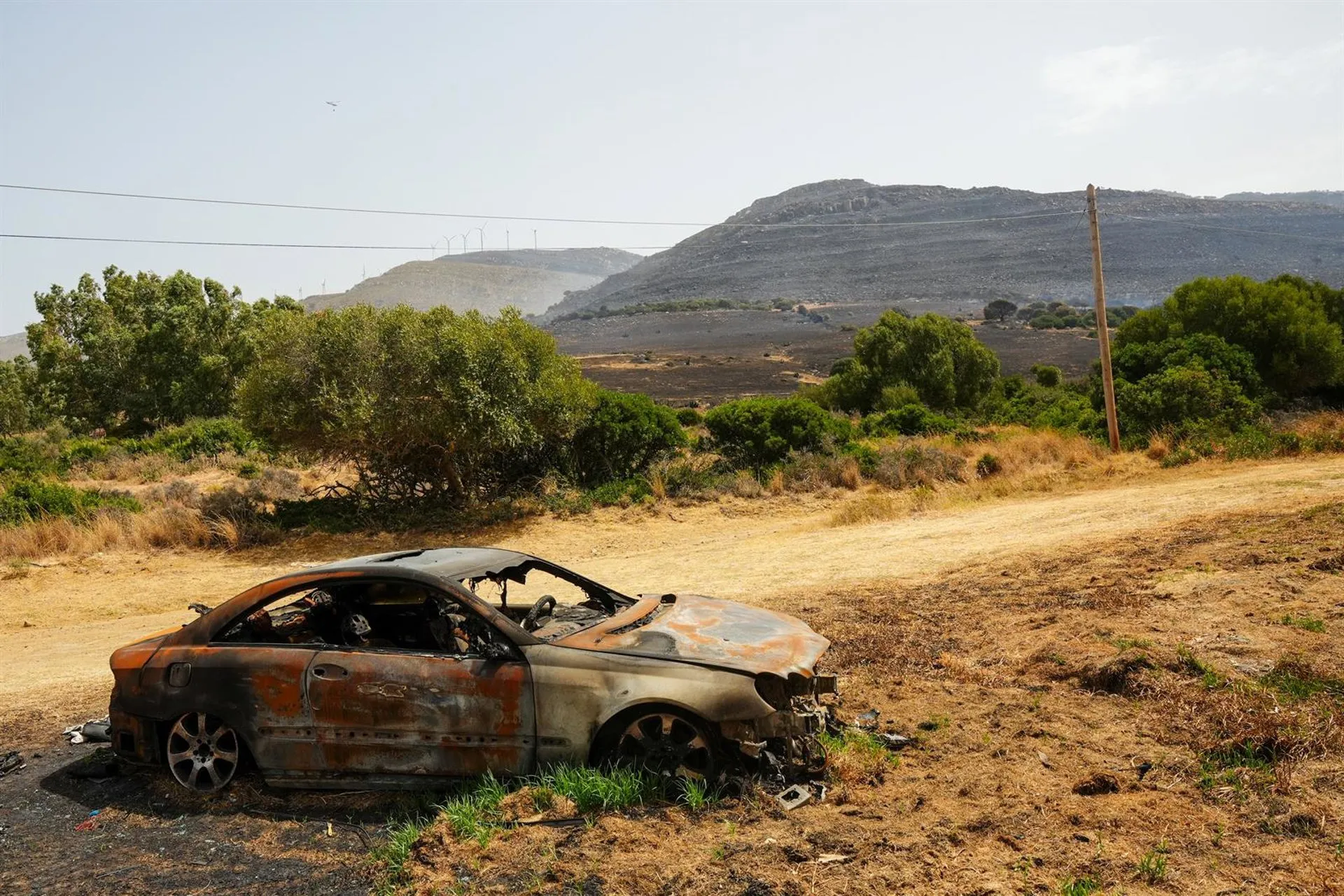 Vegetación y coche calcinado por las llamas en el lugar del siniestro Vegetación y coche calcinado por las llamas en el lugar del siniestro