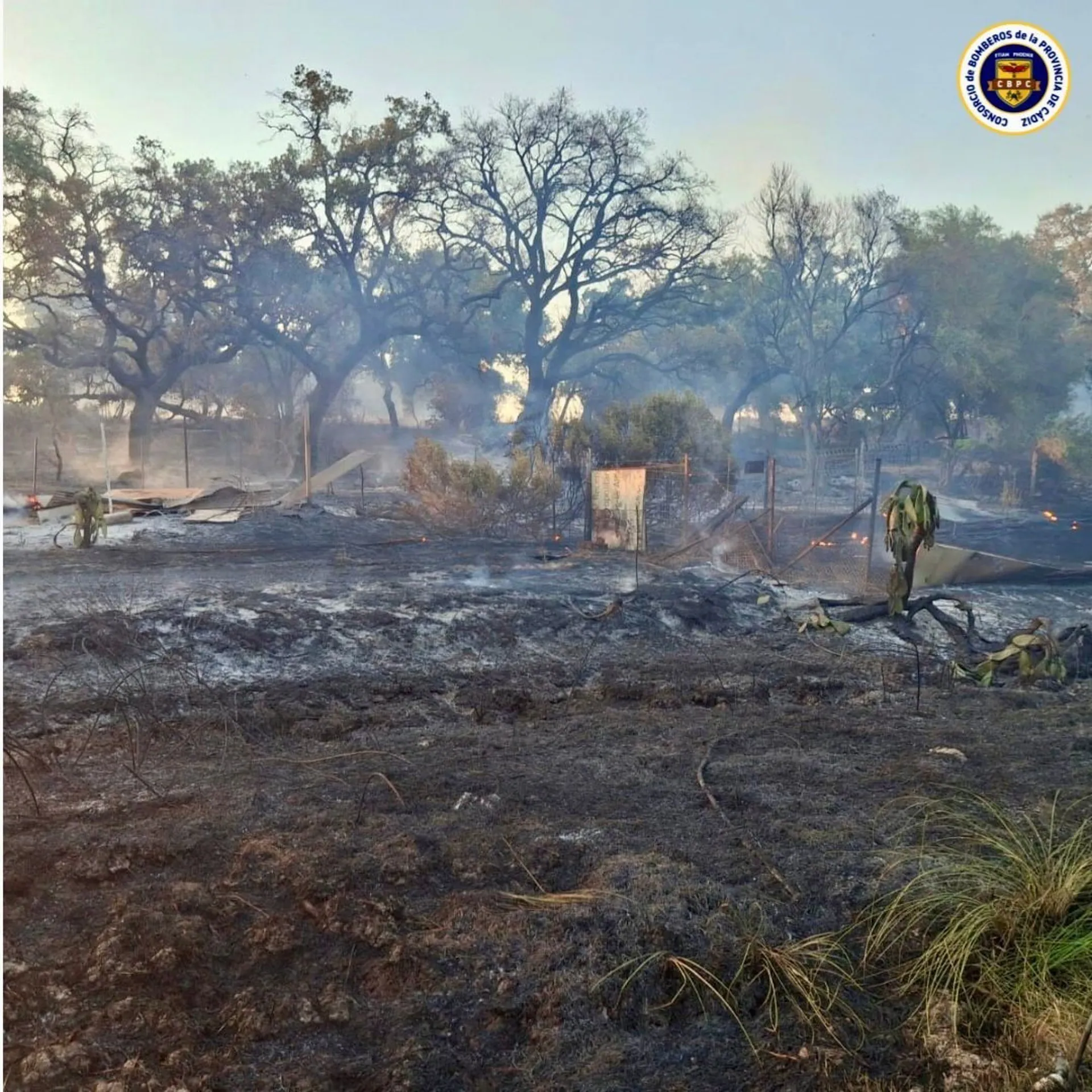 Superficie quemada por el incendio de pastos en la zona rural de Jerez de la Frontera. Superficie quemada por el incendio de pastos en la zona rural de Jerez de la Frontera.