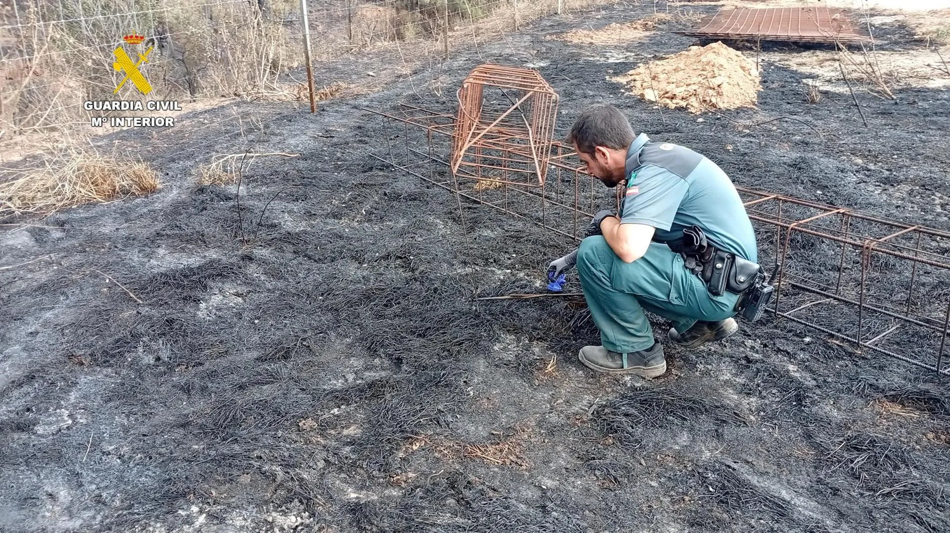Un agente del Seprona investiga las causas de un incendio