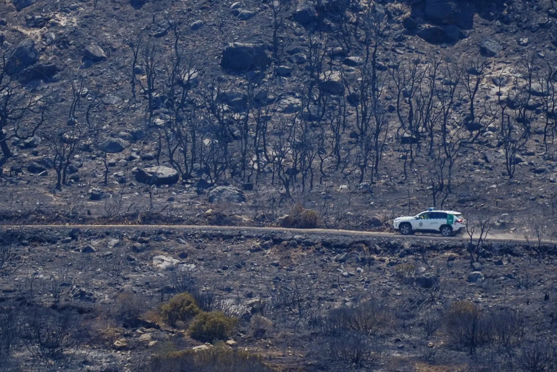 Un todo terreno del Infoca supervisa la zona quemada del fuego de Tarifa. Un todo terreno del Infoca supervisa la zona quemada del fuego de Tarifa.