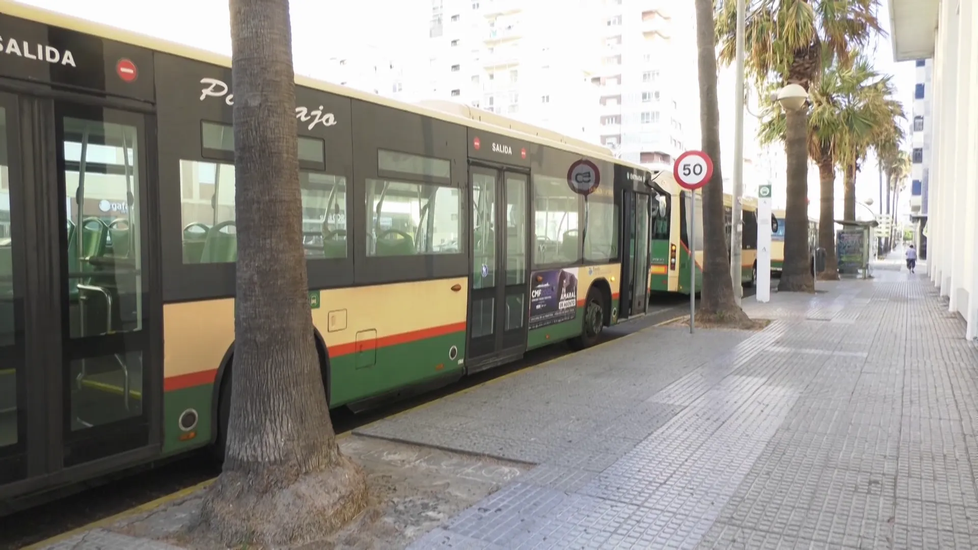 Vehículos de transporte urbano en la parada del Pabellón Ciudad de Cádiz Vehículos de transporte urbano en la parada del Pabellón Ciudad de Cádiz