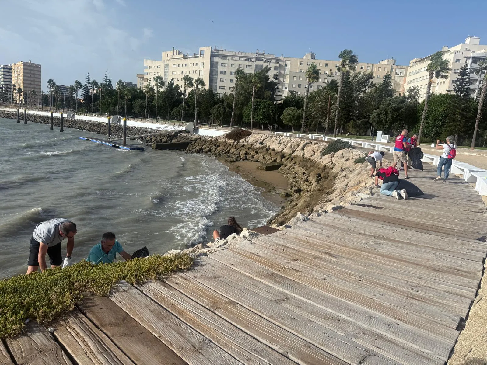 Los voluntarios han trabajado esta mañana junto al parque Celestino Mutis recogiendo residuos La prueba náutica Globe 40 se celebrará a partir del lunes en estas aguas