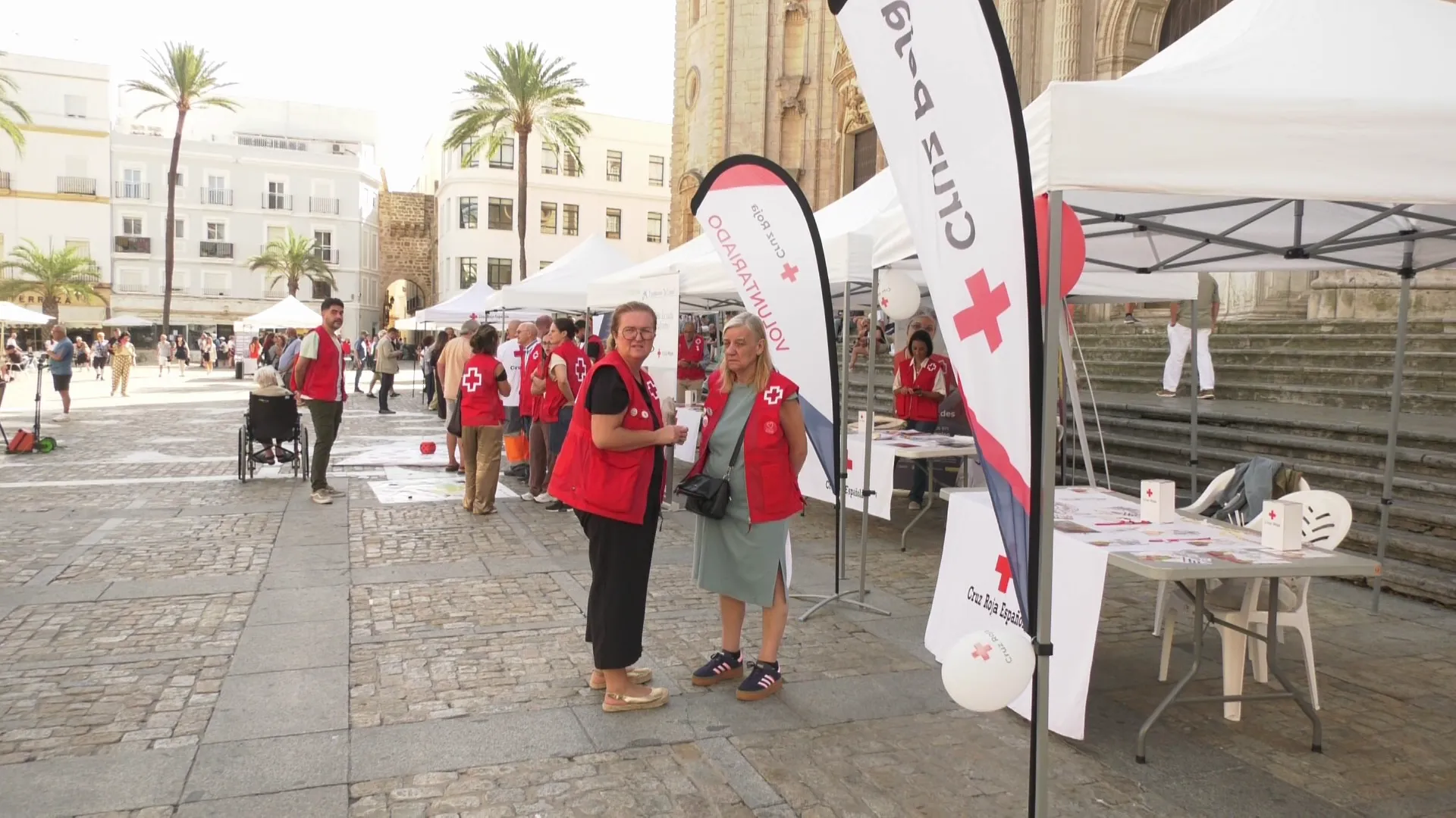 La iniciativa ha estado abierta al público en la plaza de la Catedral La iniciativa ha estado abierta al público en la plaza de la Catedral