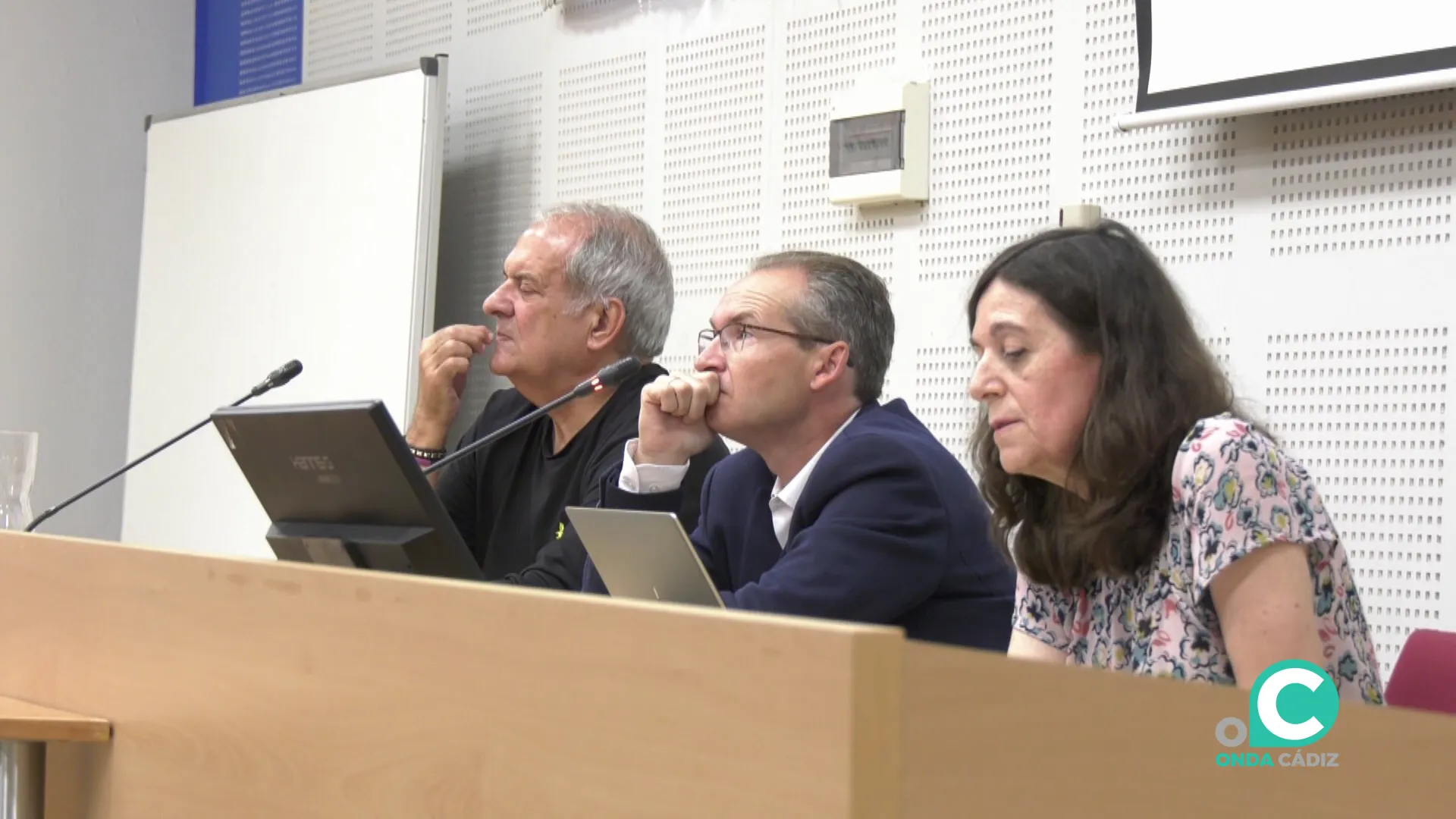 La profesora titular de Historia Contemporánea, Lola Lozano, durante su intervención en la cita La profesora titular de Historia Contemporánea, Lola Lozano, durante su intervención en la cita