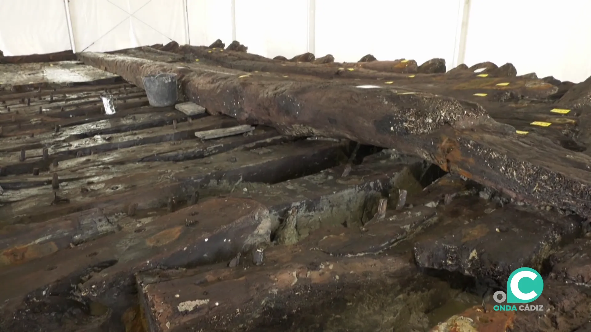 Las aguas del muelle vuelven a emerger huellas del rico pasado de la ciudad Las aguas del muelle vuelven a emerger huellas del rico pasado de la ciudad