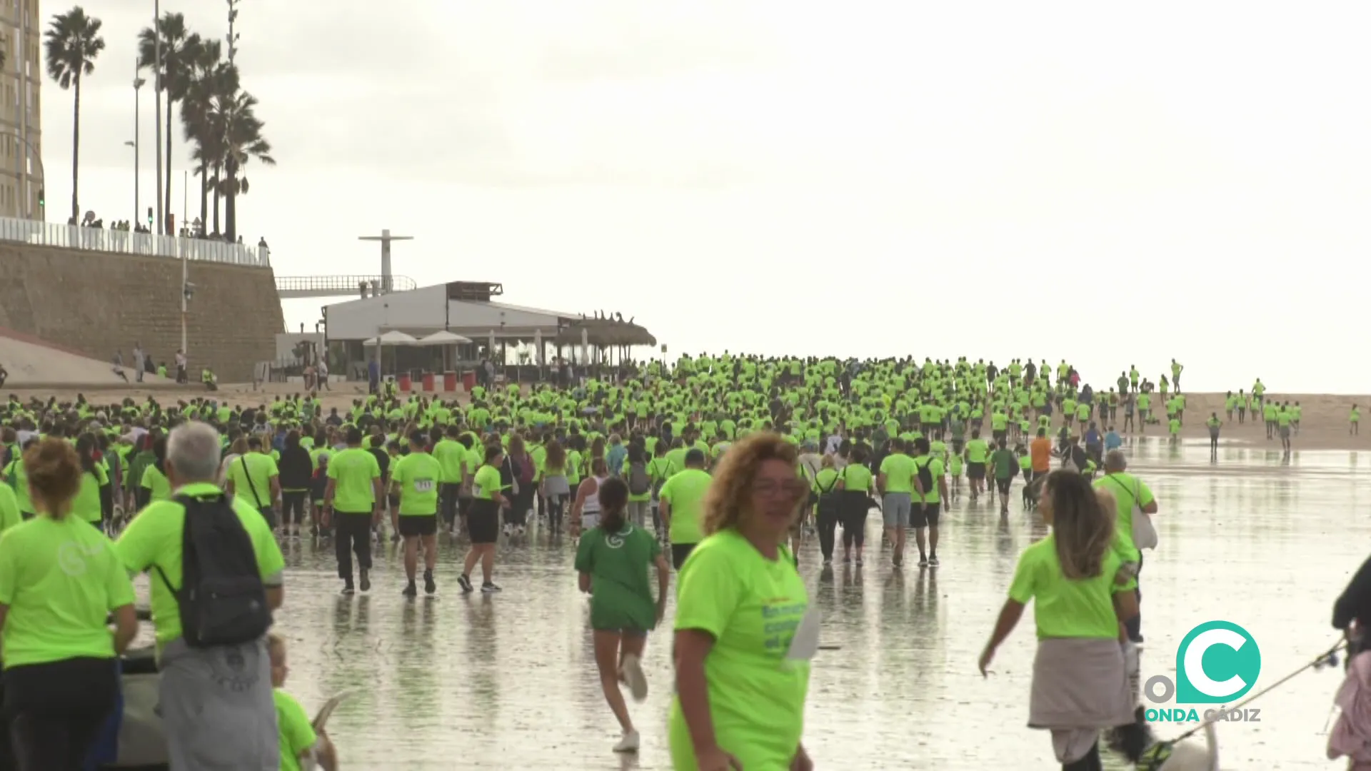 La IX Edición se celebrará 23 de noviembre desde Santa María del Mar hasta Cortadura