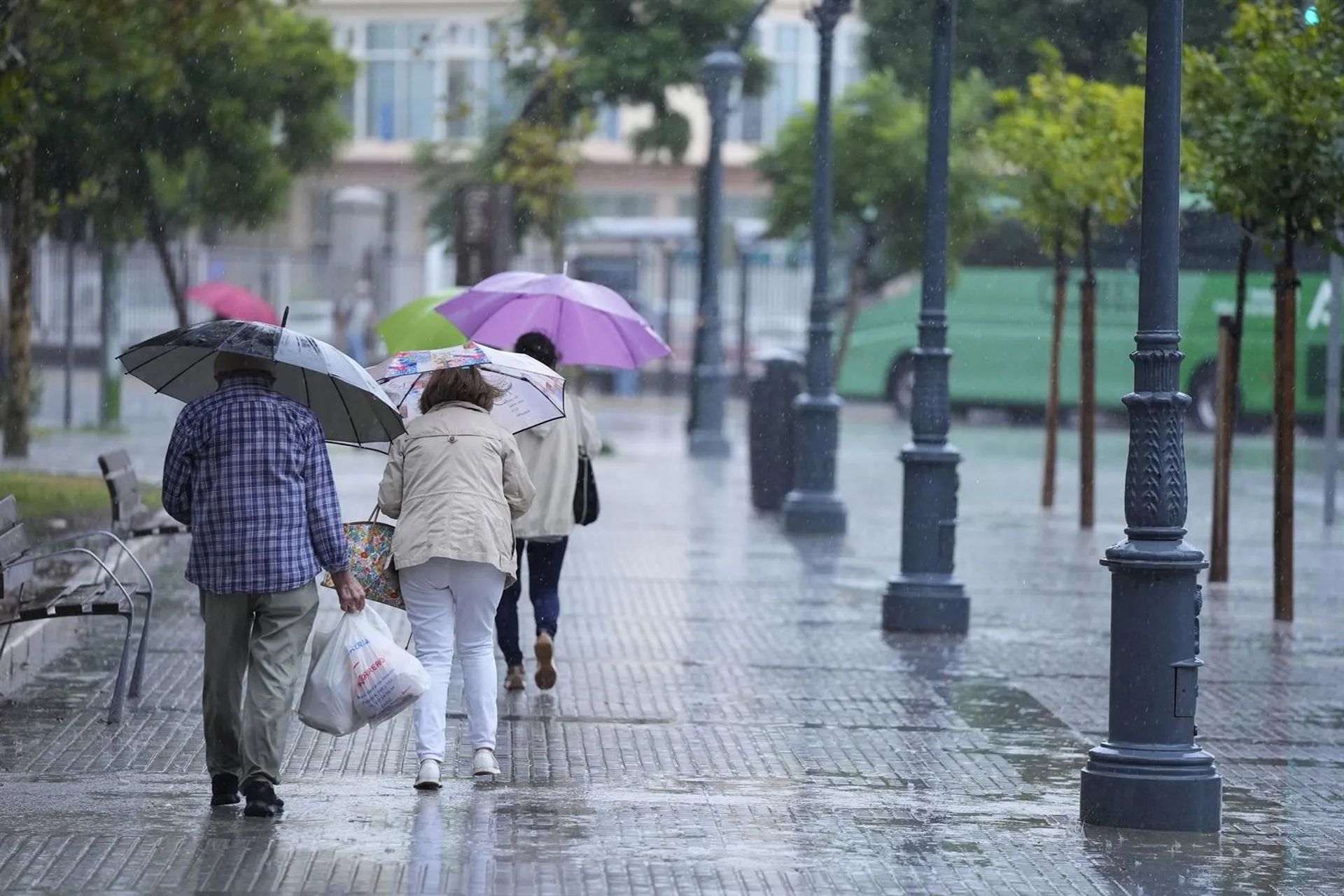 Transeúntes bajo sus paraguas durante una intensa lluvia en Cádiz.