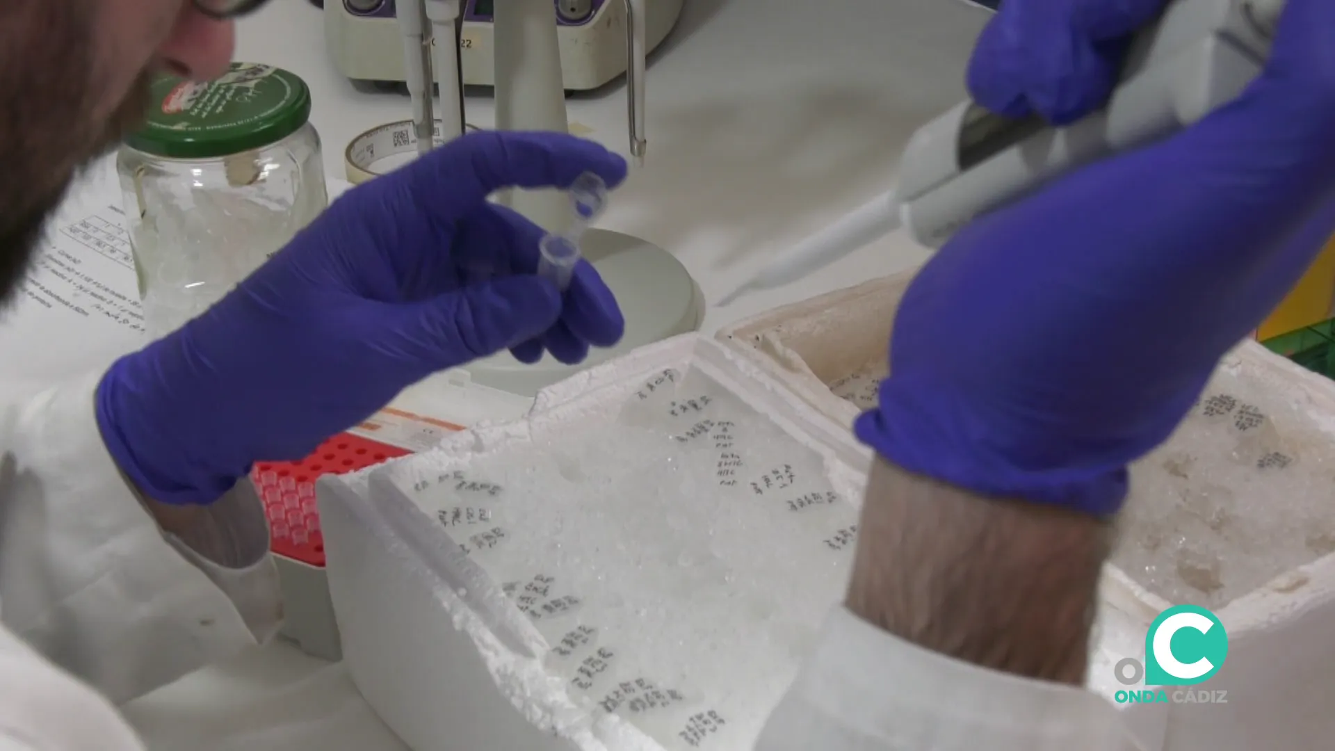 Técnico en un laboratorio