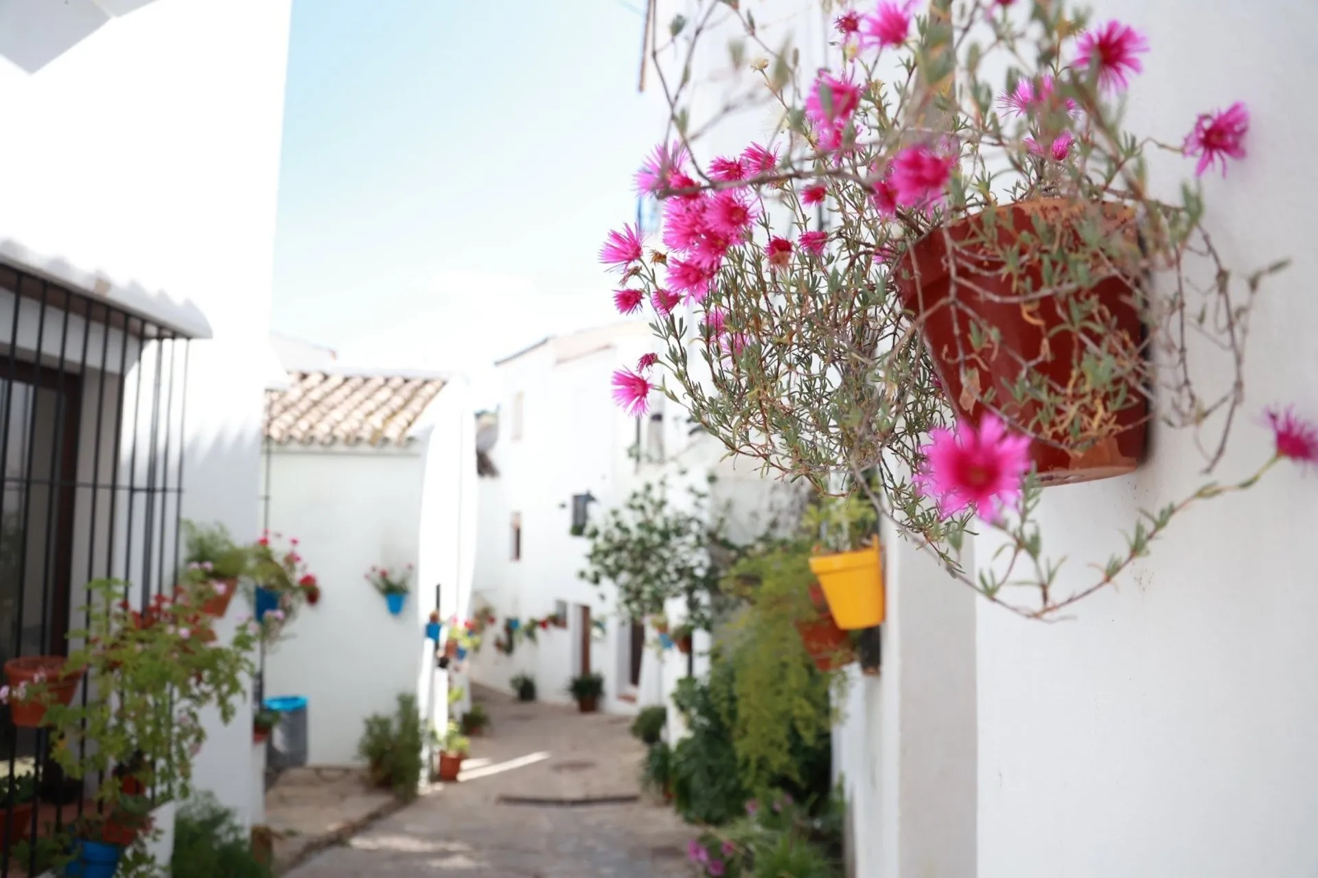 Una calle del pueblo de El Gastor, en la sierra de Cádiz.