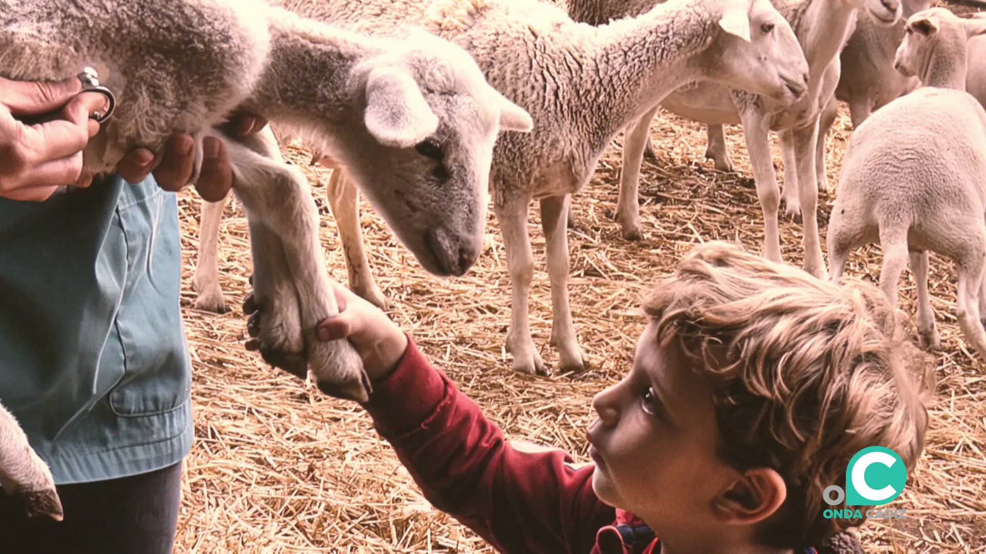 Alguna de las imagenes que se podrán visitar en el Palacio Provincial 