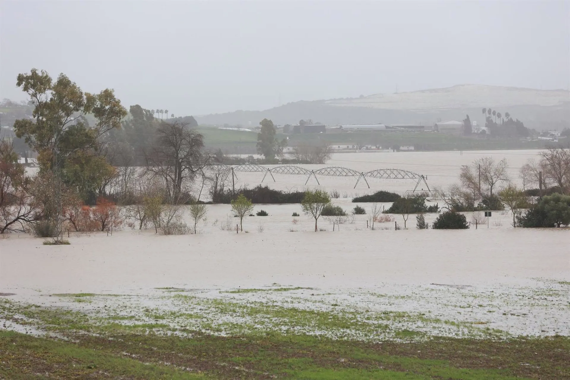 Imagen de la vega del Guadalete inundada tras el desbordamiento del río a su paso por la localidad gaditana de Jerez.
