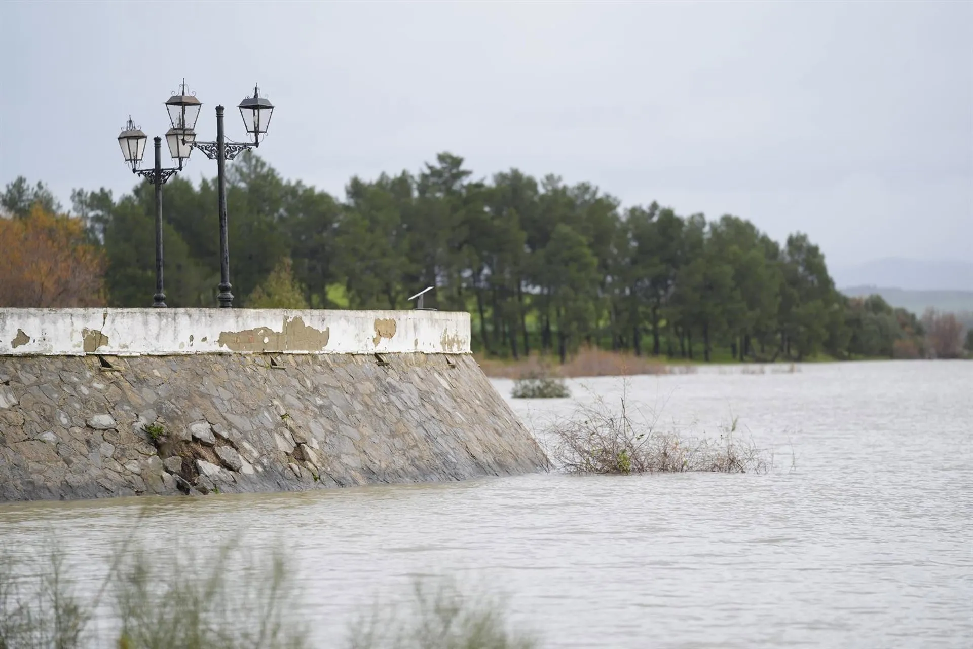 Imagen del pantano de Bornos superada su capacidad de embalsamiento. A 6 de febrero de 2026, en Bornos, Cádiz
