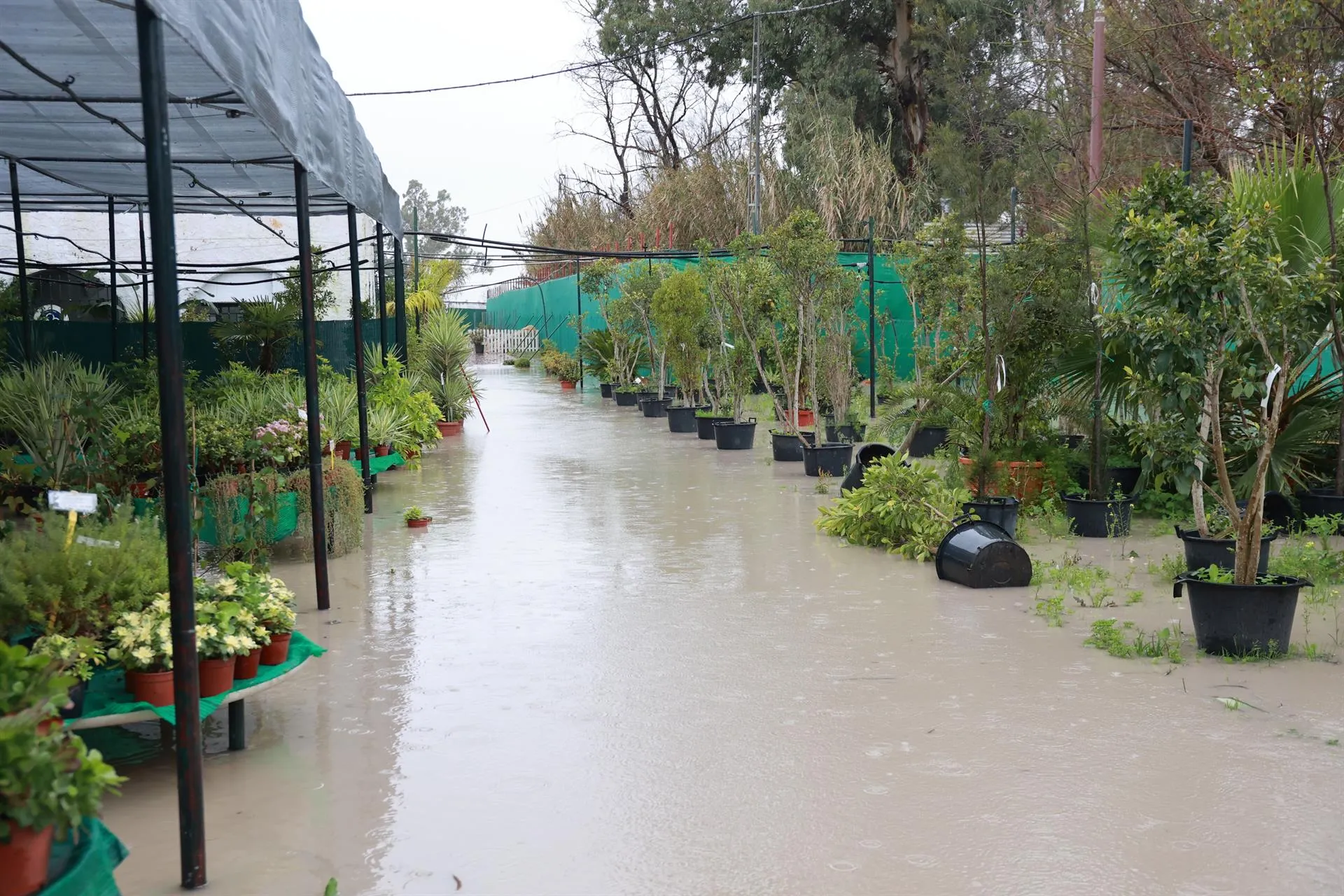 Un invernadero inundado tras el desbordamiento del río Guadalete a su paso por la localidad de Jerez.