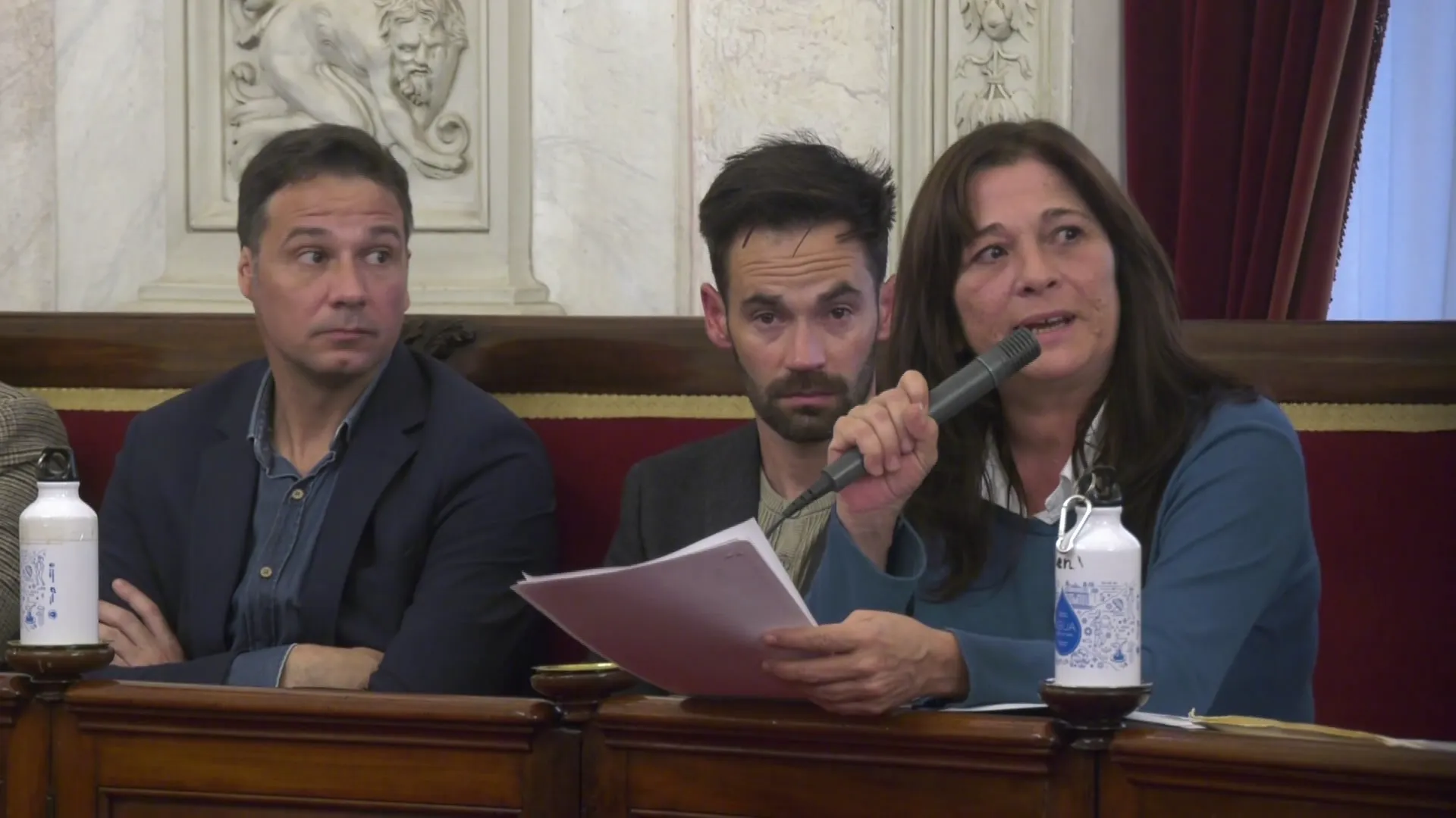 Helena Fernández de AIG durante una sesión plenaria muncipal