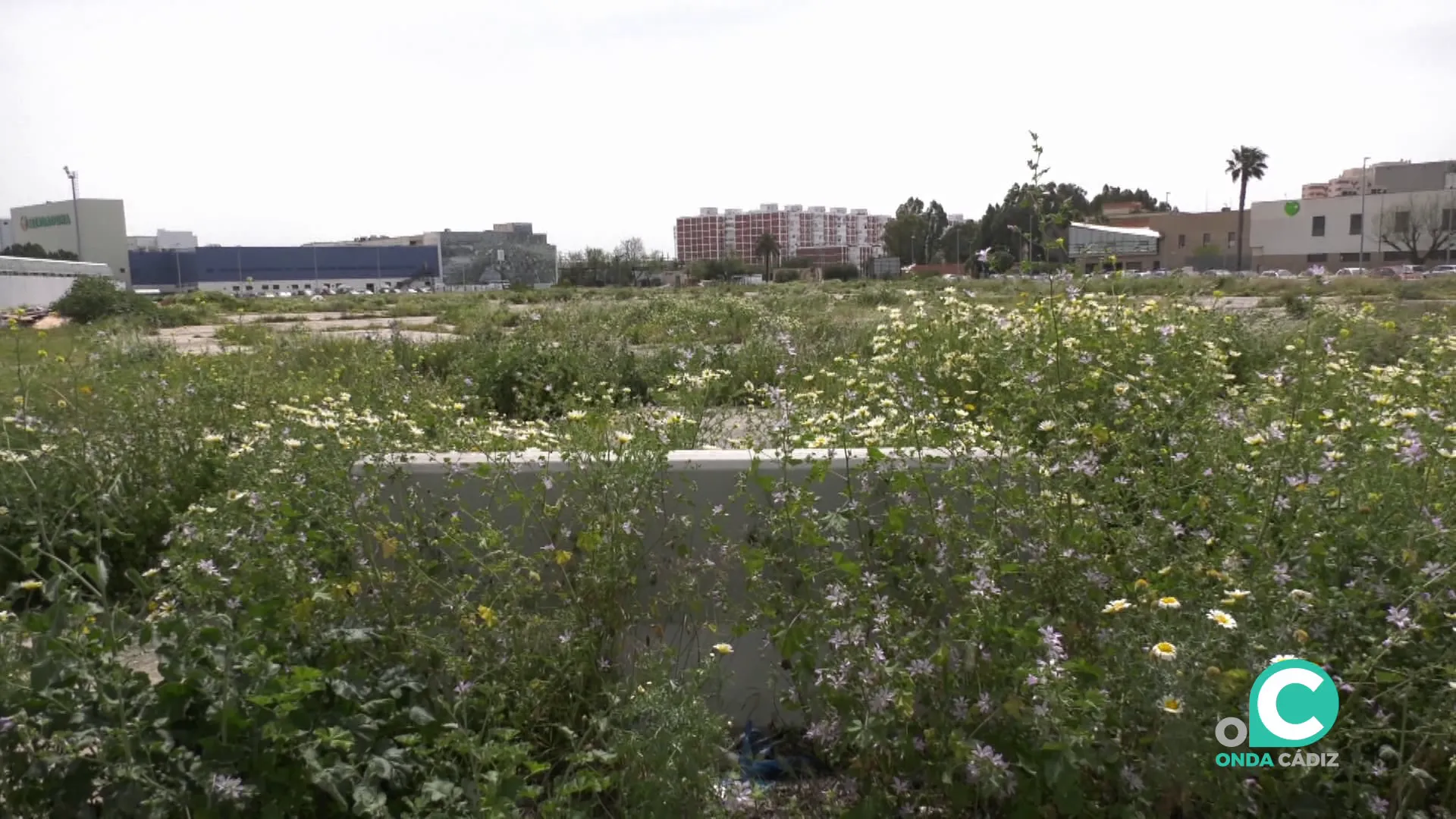 Terrenos en la capital gaditana deonde se ubicará el futuro equipamiento