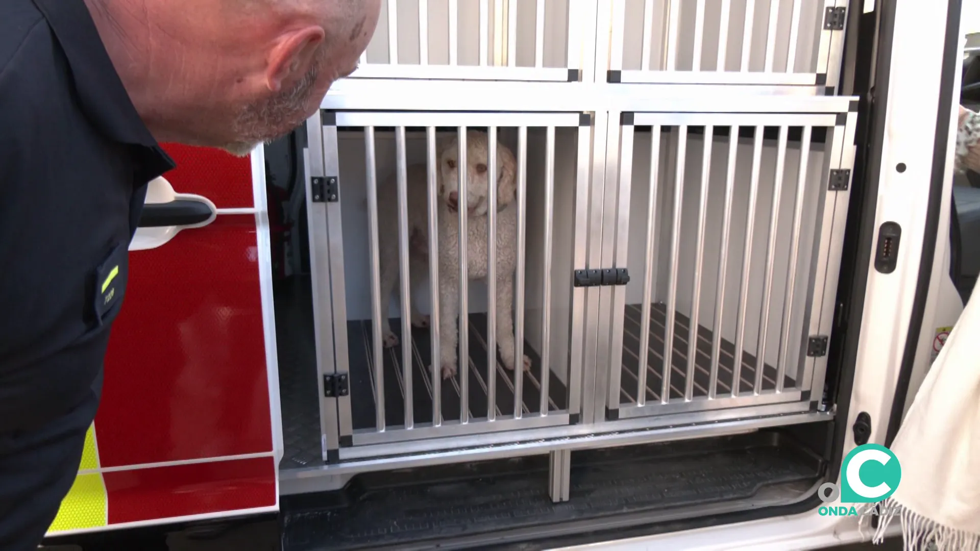 Uno de los canes estrena la nueva adquisición movil