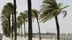 El viento de levante seguirá presente en la provincia de Cádiz.
