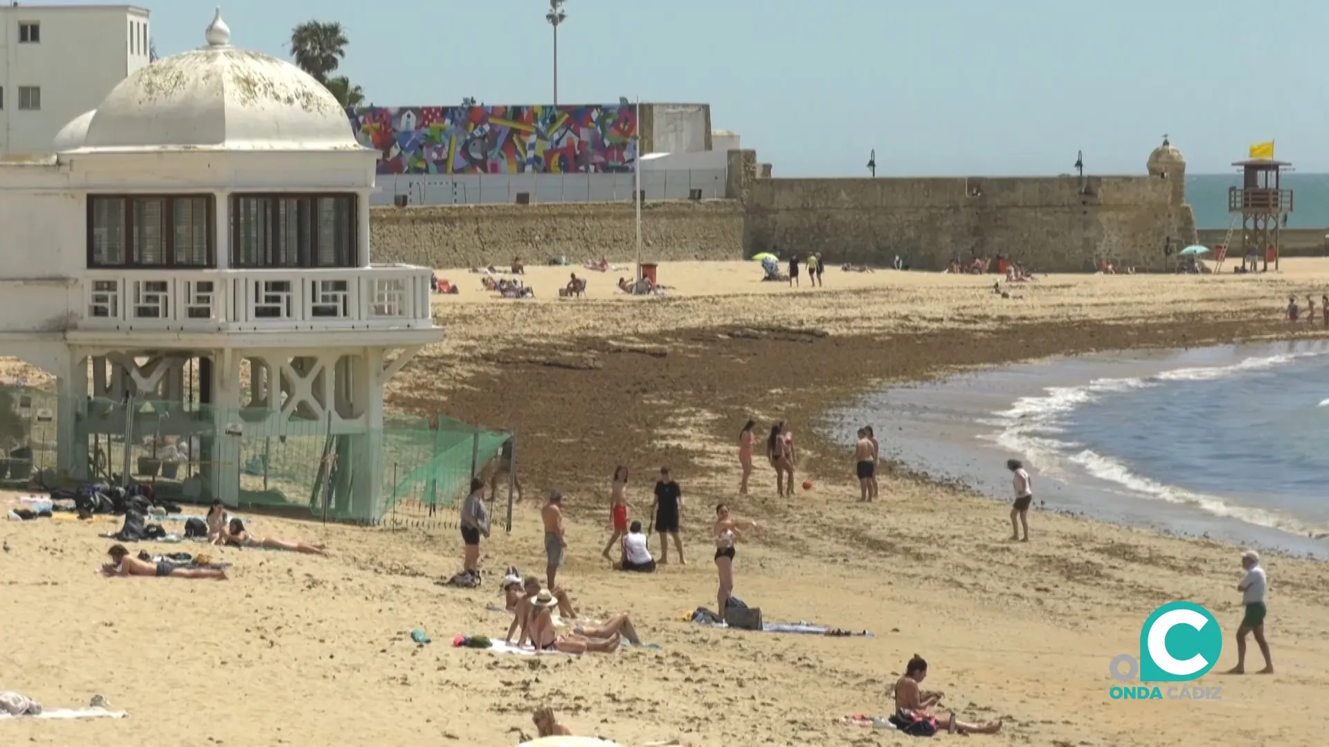 La Caleta, una de las playas afectadas por la invasión del alga Rugulopterix okamurae. 
