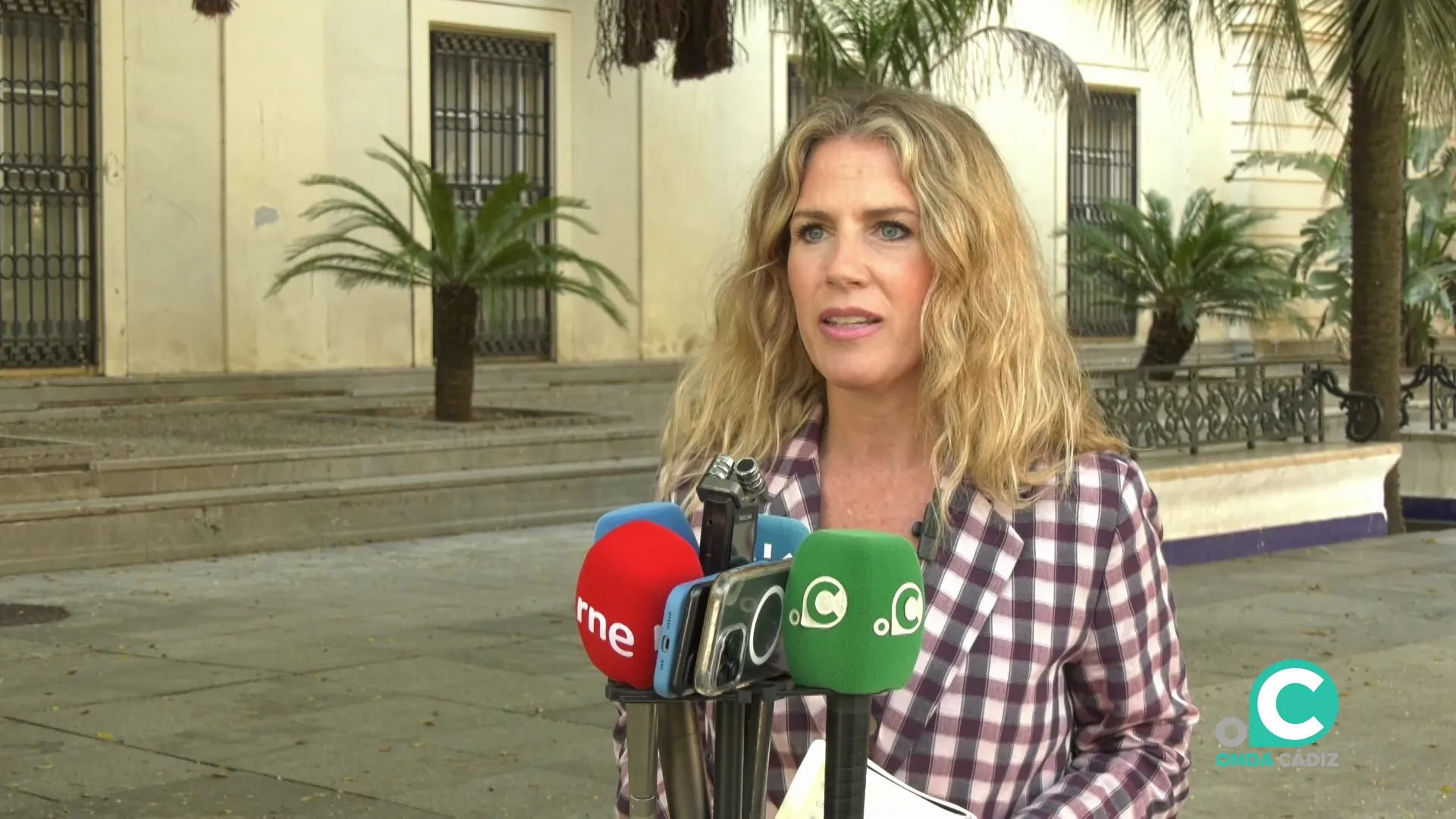 La vicesecretaria de Política Municipal del PP de Andalucía, Ana Mestre,  responde a los medios este viernes en Cádiz