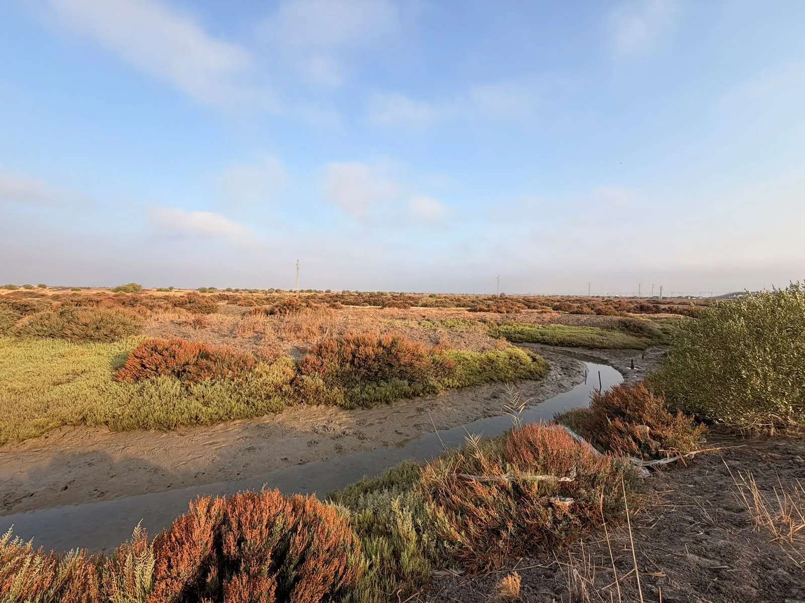 Una imagen de la Salina San Joaquín en  Chiclana.