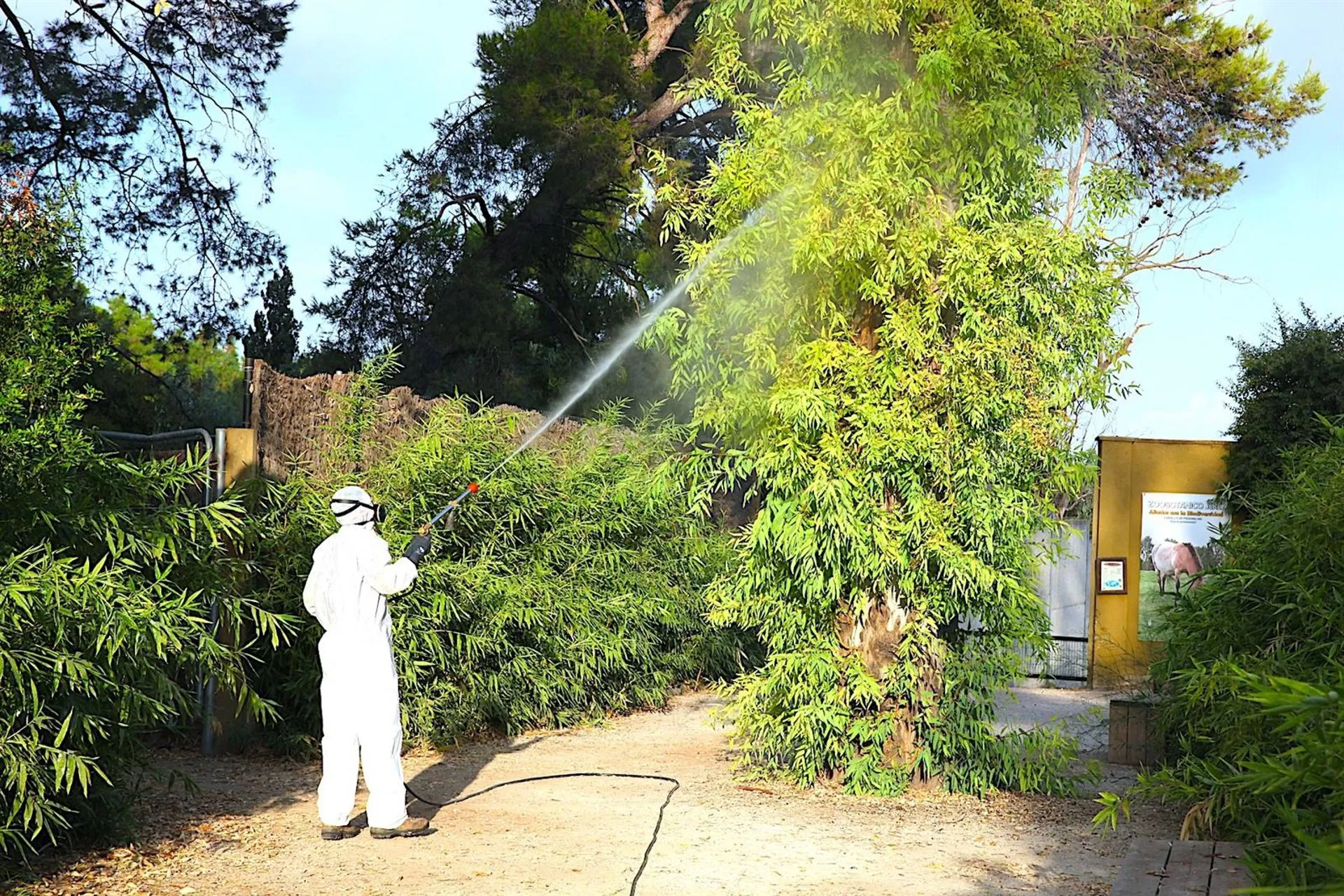 Un operario realizando tareas de fumigación en el Zoobotánico de Jerez 