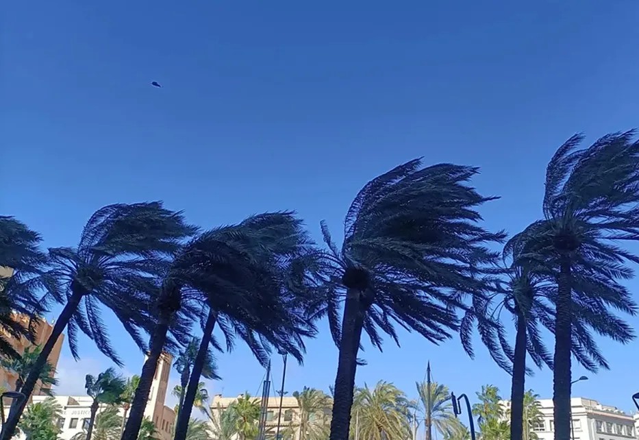Se prevé que las rachas de viento alcance los 80 km/h